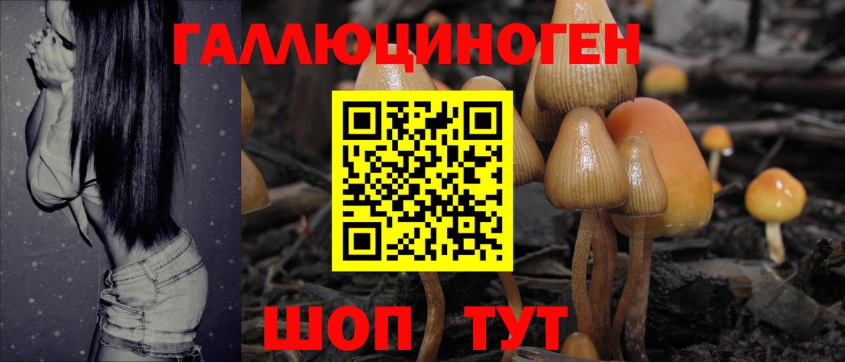 Псилоцибиновые грибы мухоморы  Вход с VPN  Коломна  Псилоцибиновые грибы Cubensis 