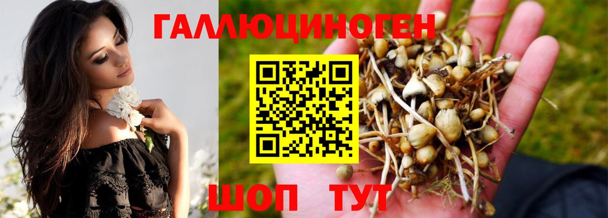 Галлюциногенные грибы мухоморы Коломна